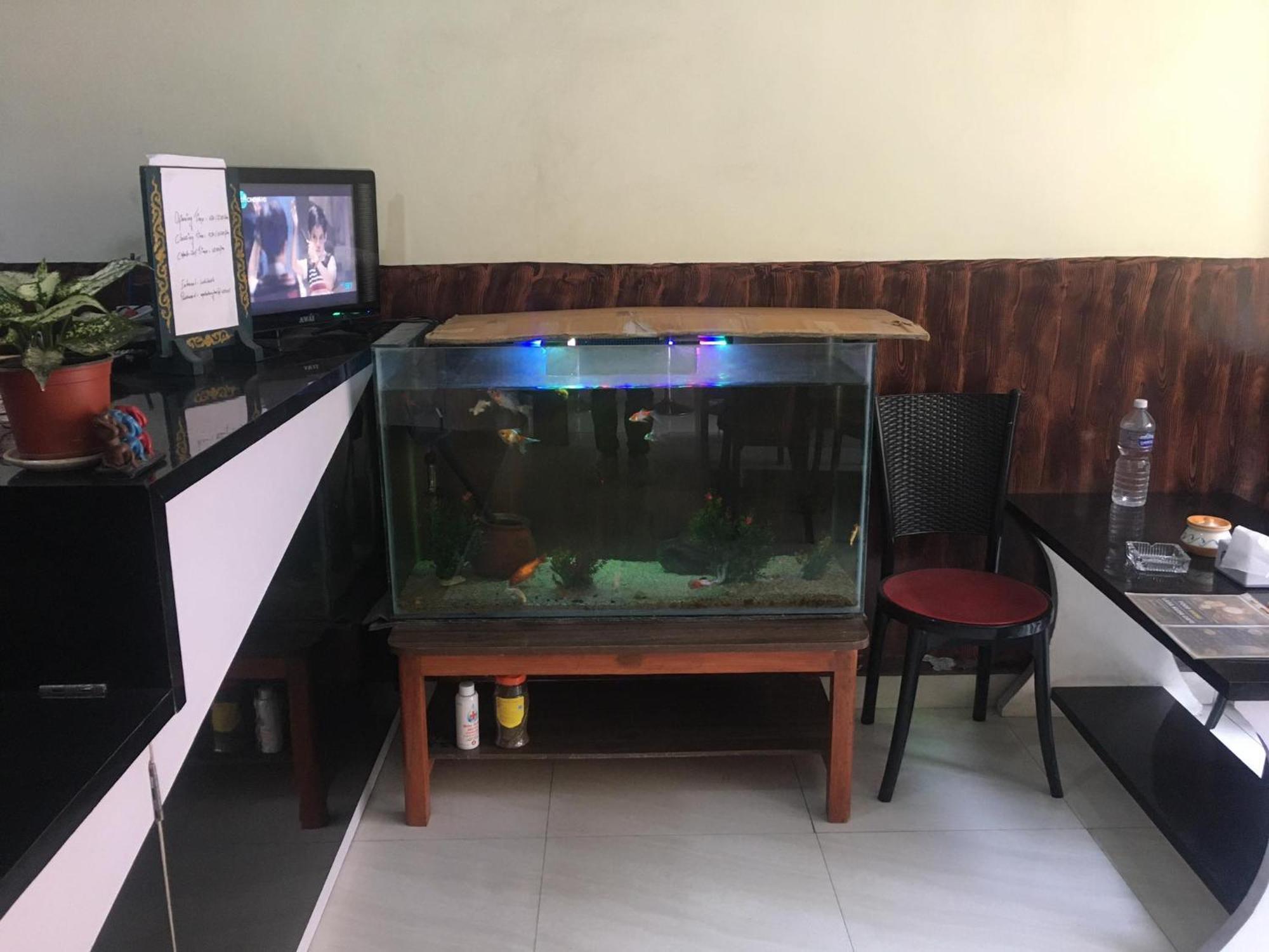 Lasa Kusa Homestay Lalitpur Ngoại thất bức ảnh